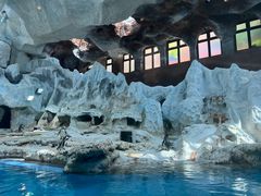 -帝企鹅自助餐厅•儿童岛•真企鹅(长隆企鹅酒店)