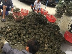 -蚝专家(北滘店)