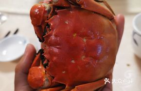 Yangcheng Lake Female Crab