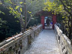 -老张烤羊(王哥庄店)