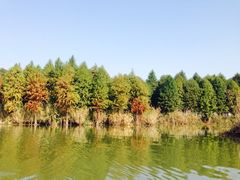 iphone_upload_pic-梁鸿国家湿地公园