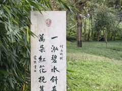 -重庆彩云湖湿地公园