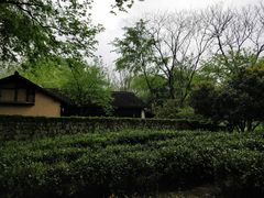 -法云古村