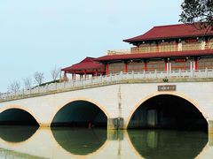 -大湾区中央湿地公园