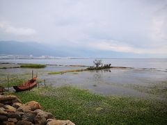 -野菌皇海景野生菌火锅(滨海大道店)