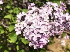 -绿岛公园(滨海新区)