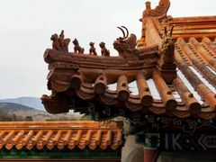 -颐和园