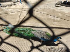 -森林公园(尖草坪区)