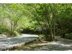 -野三坡百里峡景区