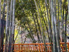 -沐川竹海旅游景区