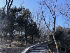 -北京十三陵国家森林公园蟒山景区