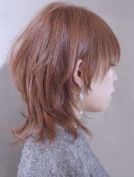 -IDOL-PLUS
