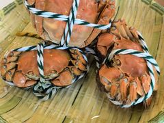 -蟹天蟹地农家菜·阳澄湖大闸蟹(浅水湾店)