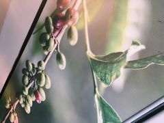 -星巴克臻选(上海长风大悦城店)