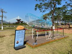 -芒洲湿地公园