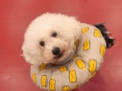-和它·交个朋友·狗咖猫咖(爱琴海店)
