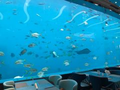 -瑞德姆美人鱼海底演艺主题餐厅(亚龙湾店)