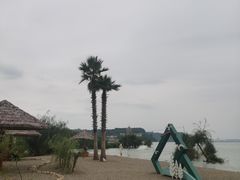 -捞渔河湿地公园