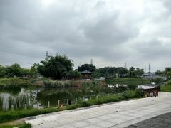 -王借岗森林公园