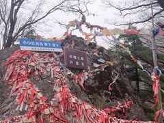 -陕西省红河谷森林公园