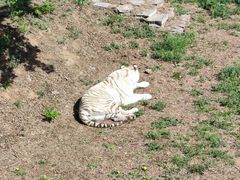 -石家庄市动物园