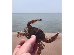 -东疆建设开发纪念公园