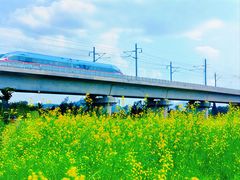 -光明小镇欢乐田园