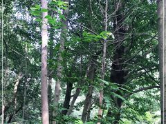 -苏堤停车场