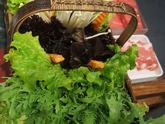 -南门四季铜锅涮肉(左家庄店)
