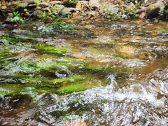 -大观园昆山峡漂流