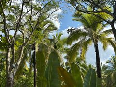 -西双版纳融创皇冠假日度假酒店