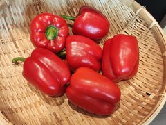 -千稻剁椒大鱼头(CityOn熙地港店)