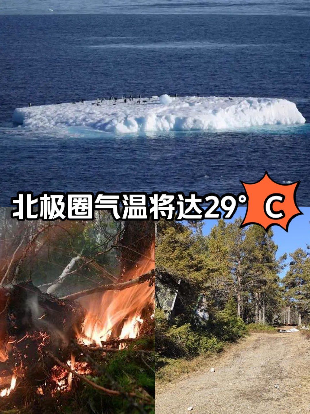 北极圈也热,预计将达29℃!