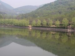 -鲁山国家森林公园