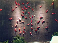 -云渔堂蒸汽石锅鱼(万达店)