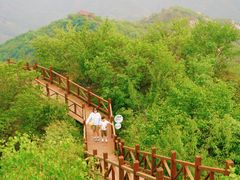 -大岭沟猕猴桃谷风景区