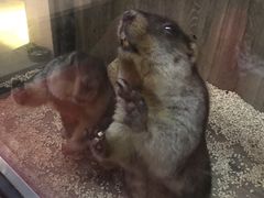 -后院犇牛主题餐厅(云岗店)