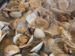 -顺德哥卜卜贝(旗舰店)