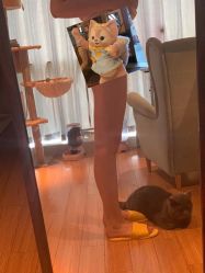 -禾美嘉医疗美容
