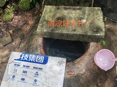 -南山植物园
