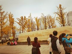-百林公园-两江幸福广场