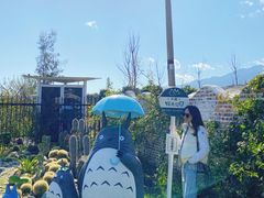 -猫米花园