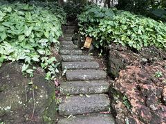 -海口火山口国家地质公园