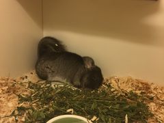 -龙猫仔乐园(惠福东路店)