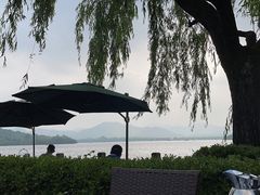 -杭州西湖柳莺里酒店·闻莺厅