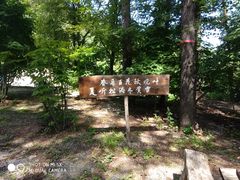 -龙道沟景区