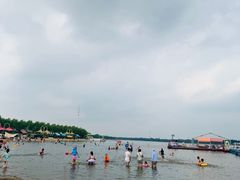 -呼兰河口湿地公园