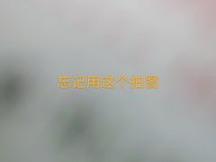 -韦记牛杂汤(清晖园店)