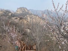 -大岭沟猕猴桃谷风景区
