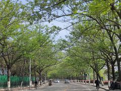 -云龙湖旅游景区